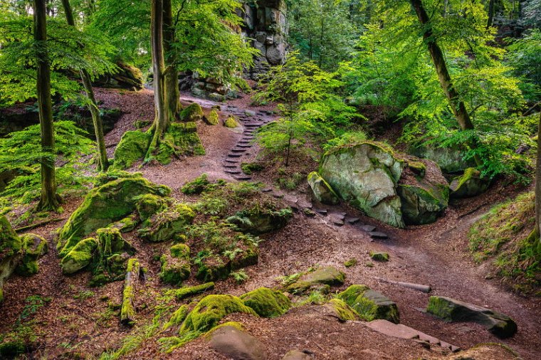 25 Teufelsschlucht.jpg